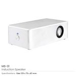 Induction-Speaker-MS-01-1.jpg