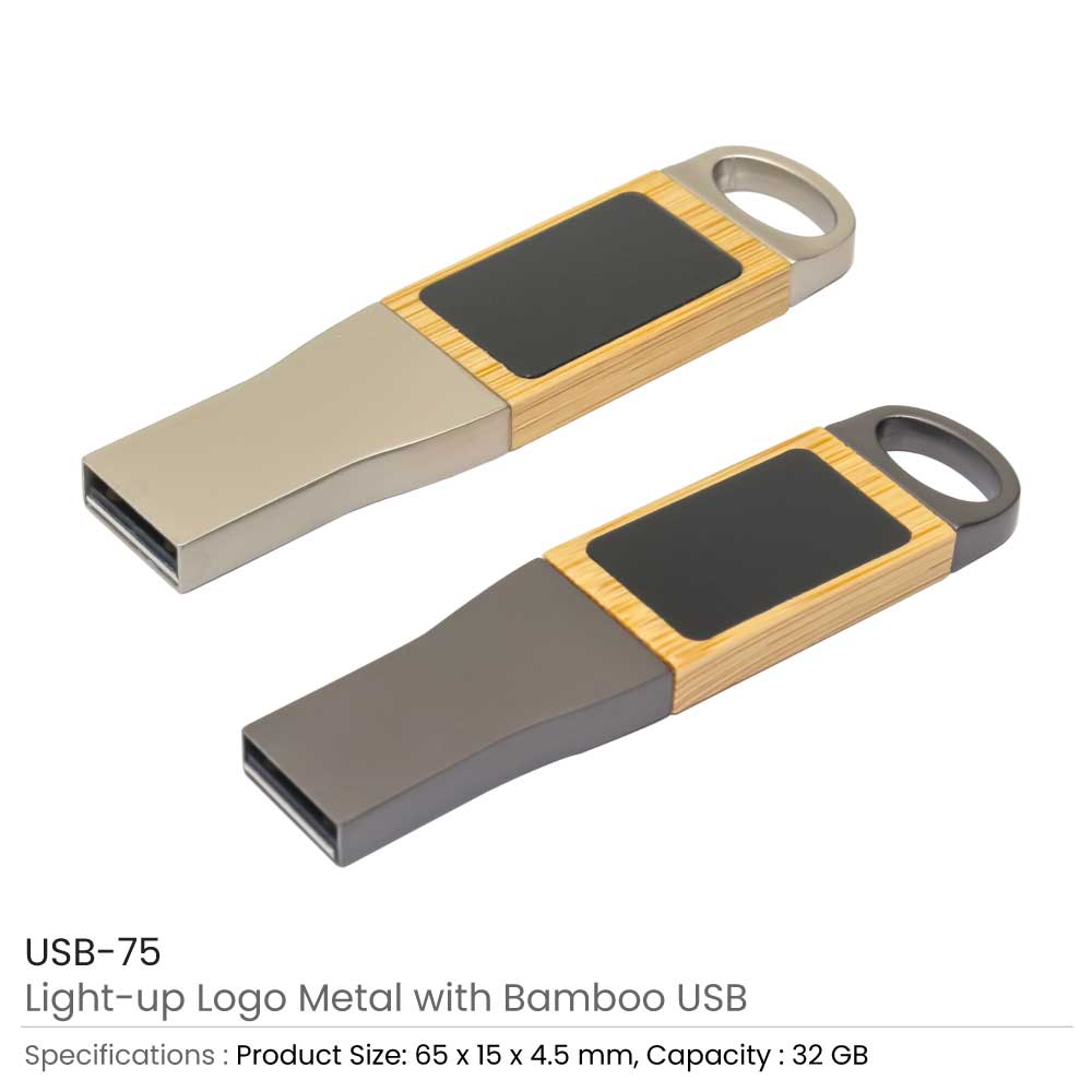 Light-Up-Logo-Metal-with-Bamboo-USB-75