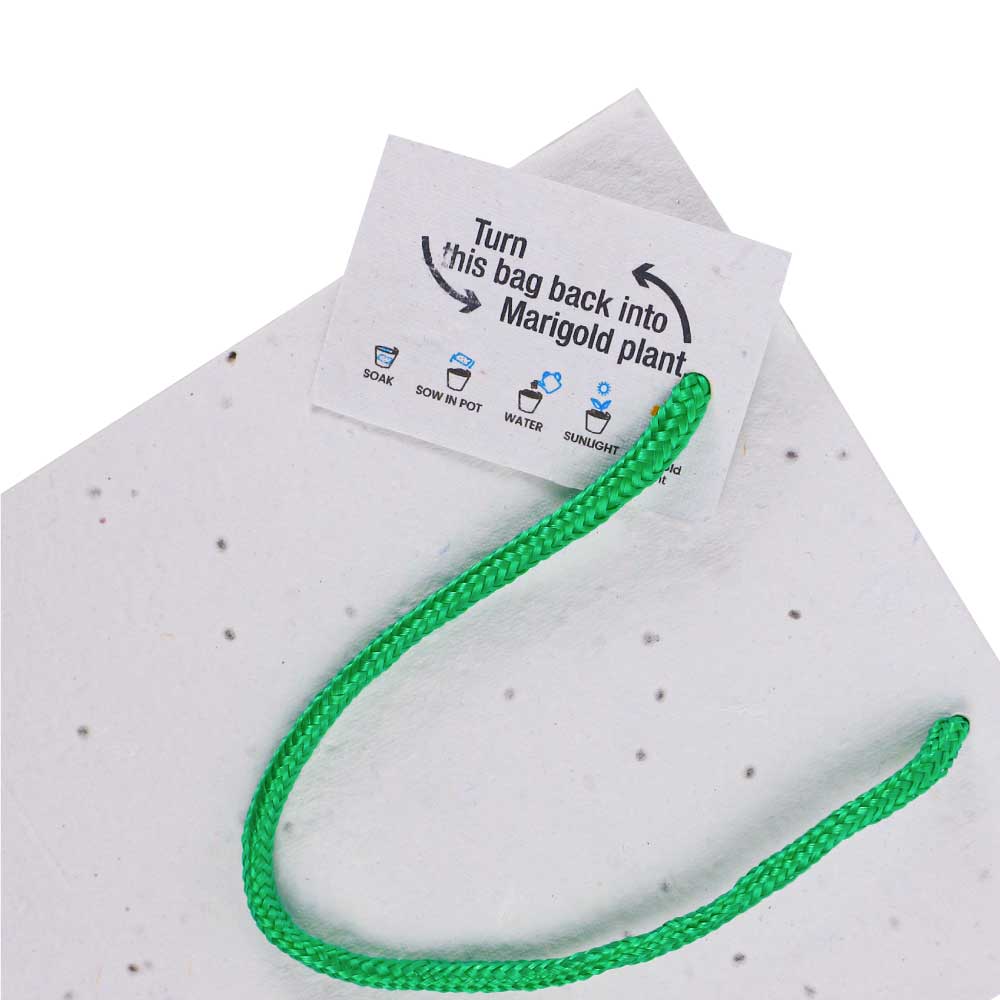 Plantable-Seed-Paper-Bag-SPS-07-with-Tag.jpg