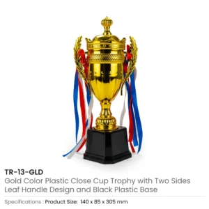 Small Cup Trophy with Removable Ribbon Attached to Both Handles - Image 5